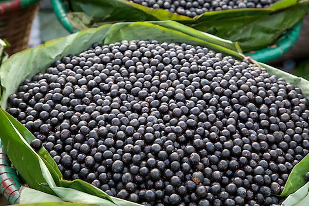 Açaí