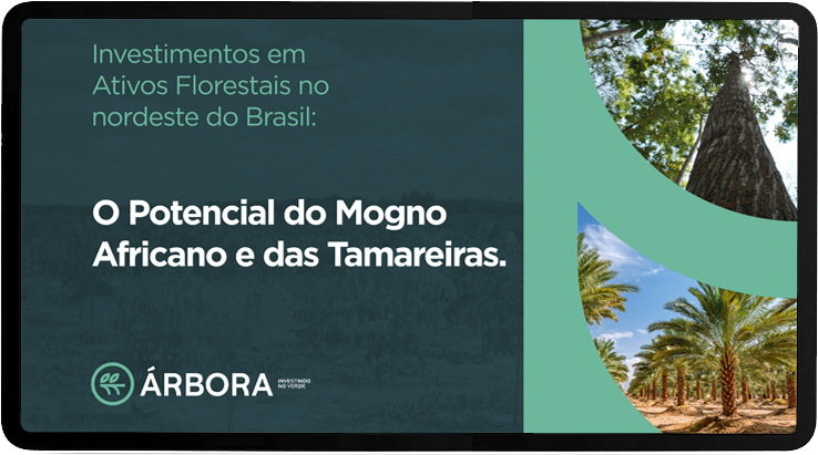 Capa do eBook gratuito da Árbora — O Potencial do Mogno Africano e das Tamareiras